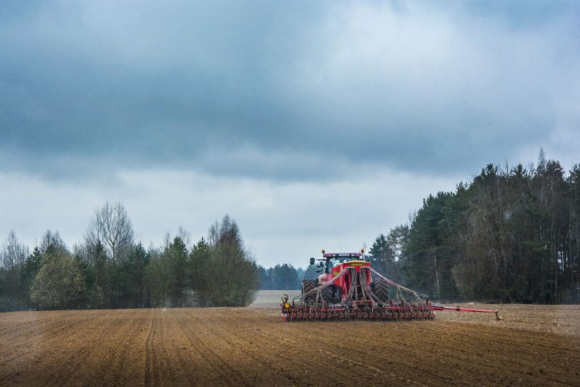 Lietuvoje vystoma nauja avižų veislė – tikimąsi švariausios pasaulyje titulo