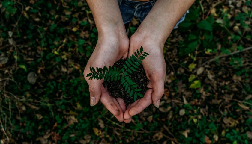Verslas stabdo klimato kaitą: „po kilimu pašluoti“ negalima nieko