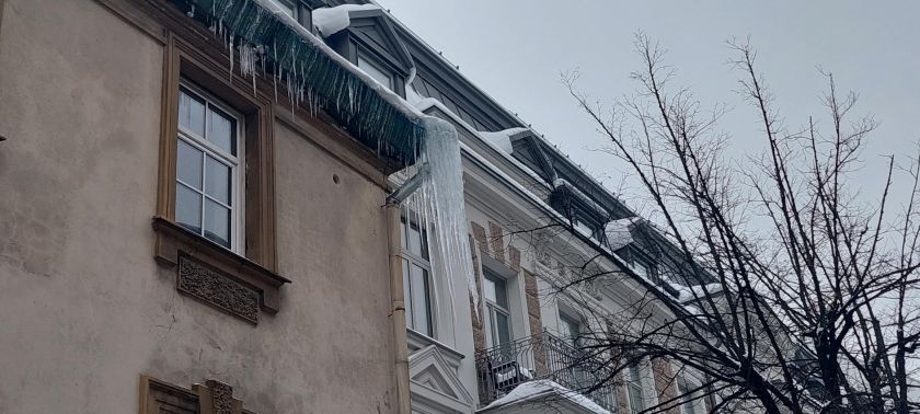 Rekordiniai šalčio nuostoliai, kurių buvo galima išvengti