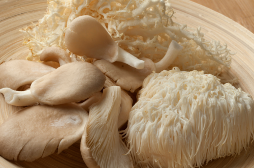 lion's mane papildai