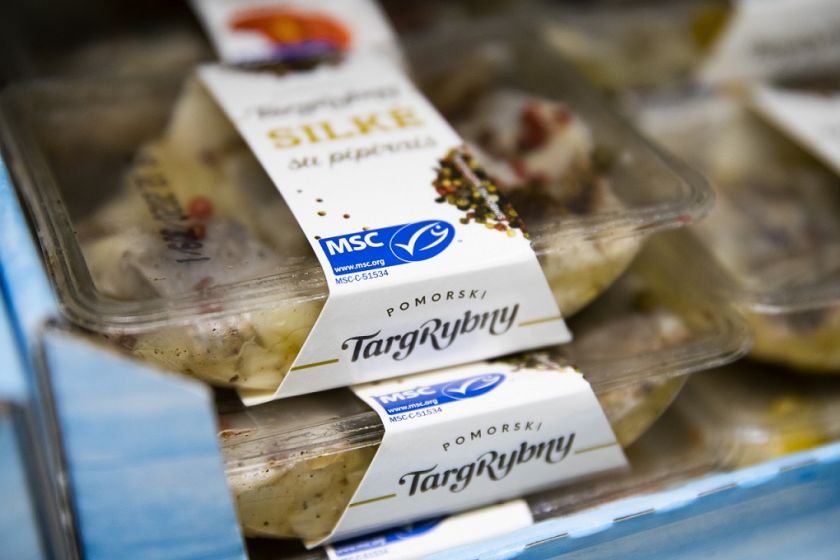Ruošiamės šventėms: tvaresni žuvų pasirinkimai jūsų Kūčių ir kalėdiniam stalui