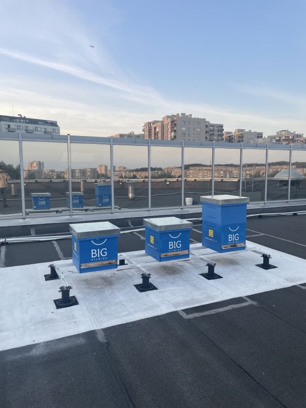 Nuo bičių ant stogo iki saulės elektrinės – „BIG Vilnius“ įgyvendina tvarius sprendimus