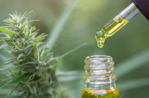 cbd aliejus