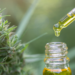 cbd aliejus