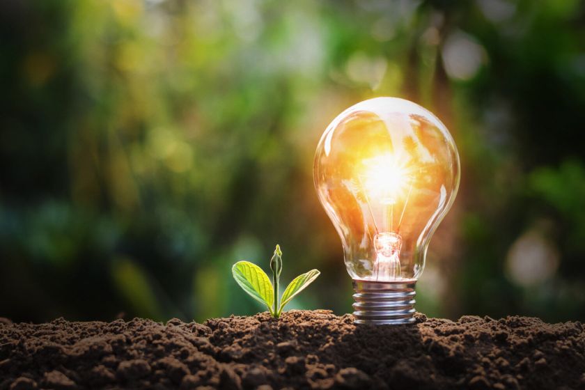 „Elektrum Lietuva“: praėjusią savaitę išaugus vėjo energijos gamybai, elektros kaina Lietuvoje mažėjo net 39 proc.