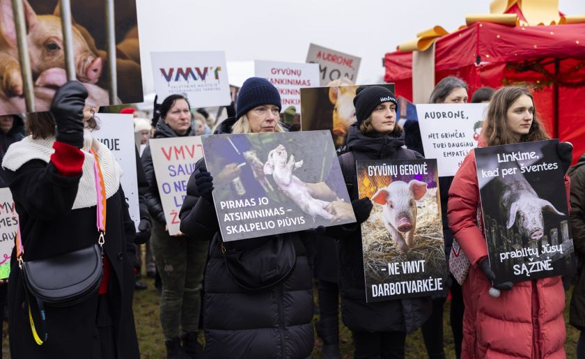 VMVT vadovei protestuotojai „padovanojo“ milžinišką širdį ir kreipimosi į STT kopiją