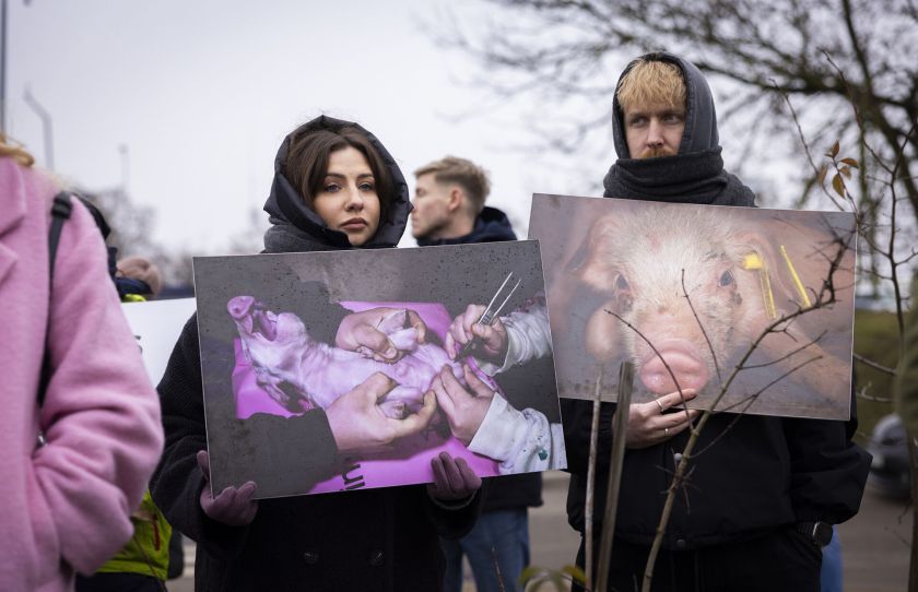 VMVT vadovei protestuotojai „padovanojo“ milžinišką širdį ir kreipimosi į STT kopiją