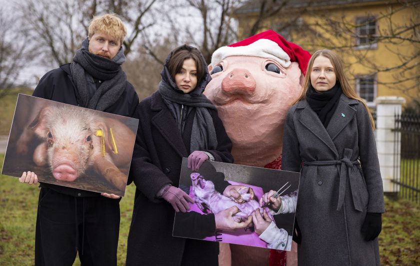 VMVT vadovei protestuotojai „padovanojo“ milžinišką širdį ir kreipimosi į STT kopiją